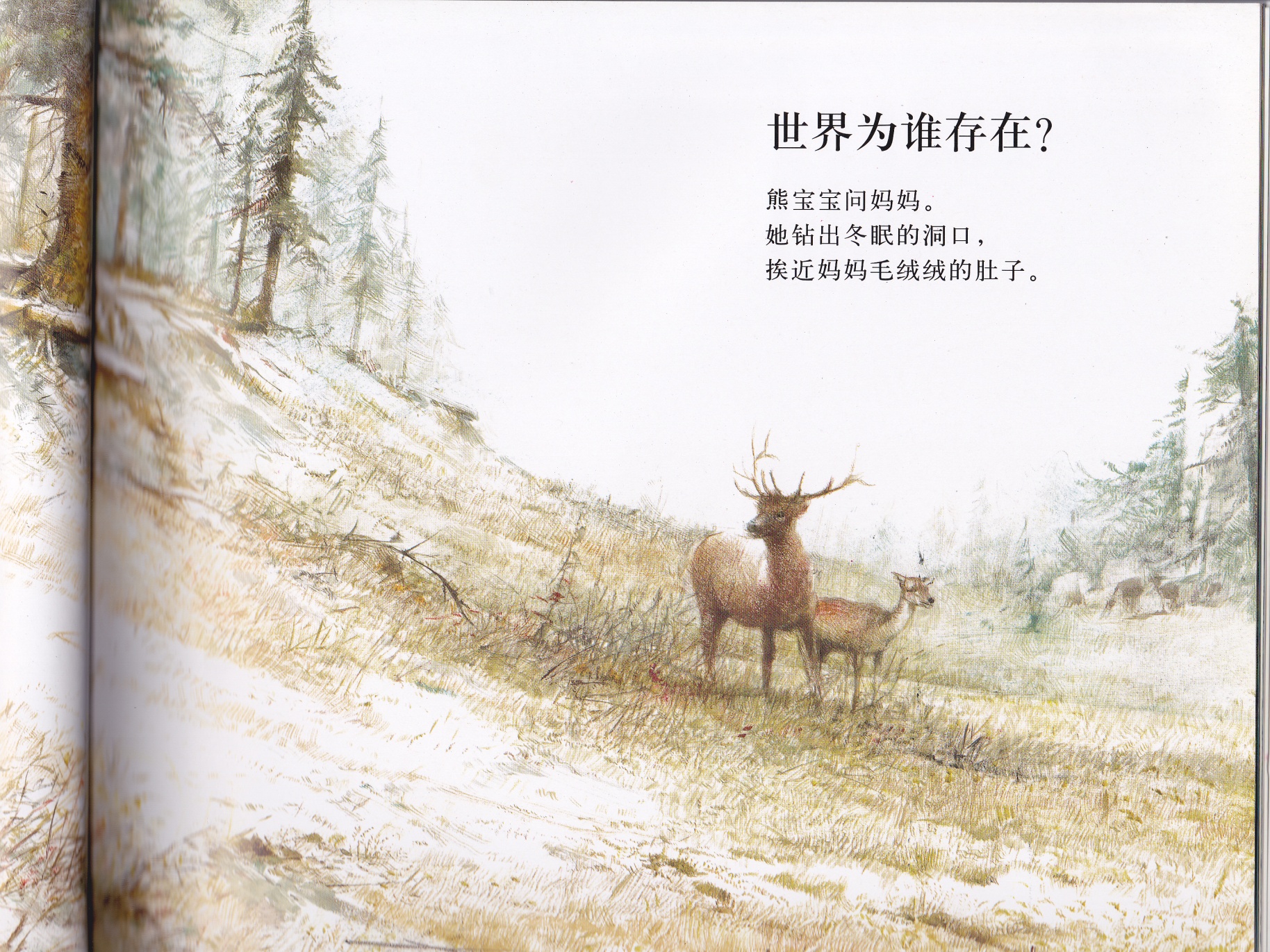 世界为谁存在 (05),绘本,绘本故事,绘本阅读,故事书,童书,图画书,课外阅读